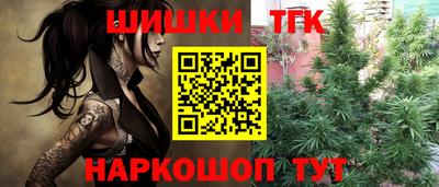 индика Нарткала