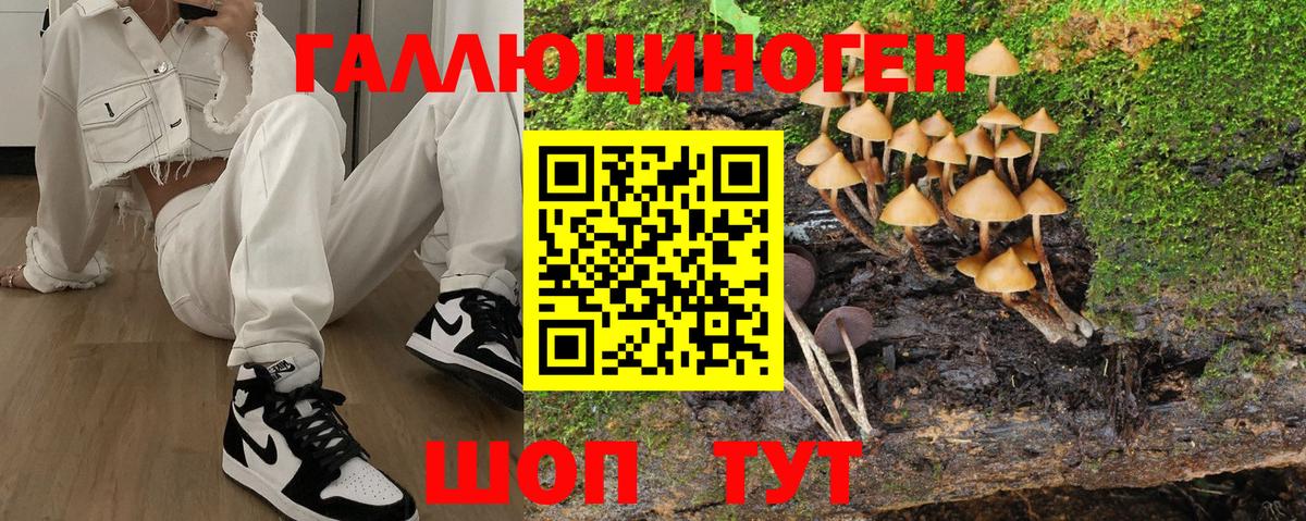 Азов  Галлюциногенные грибы Cubensis  Галлюциногенные грибы GOLDEN TEACHER  Вход с VPN 